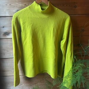 Everlane Vibrant Green cashmere Turtleneck Sweater